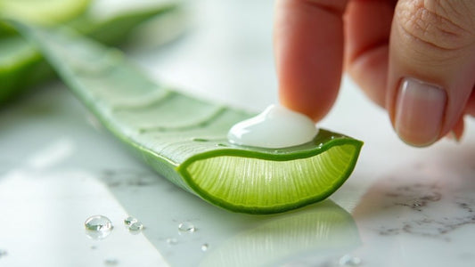 Aloe Vera Gel for Acne Scars a Natural Healing Guide